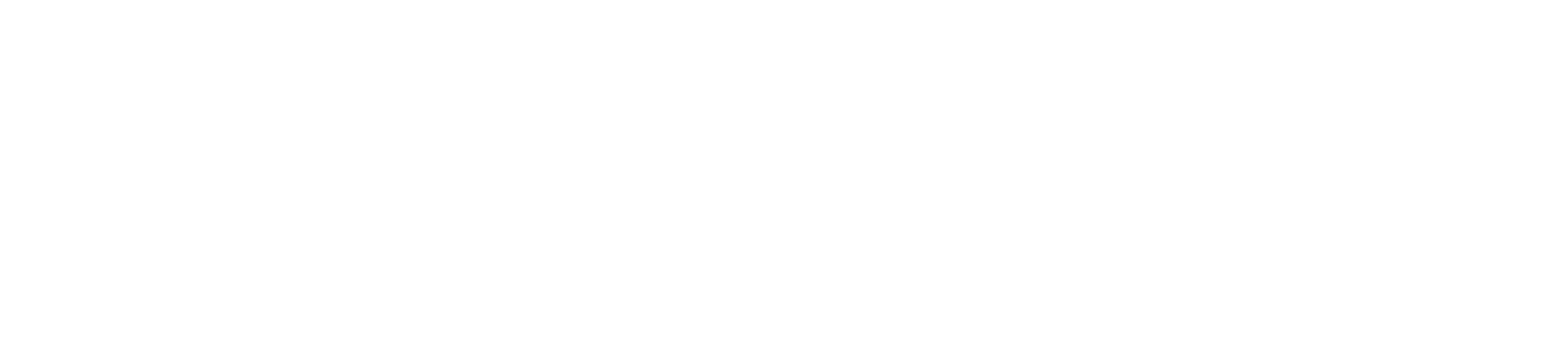 CIT_MSP CMMC L2_Logo_White_F
